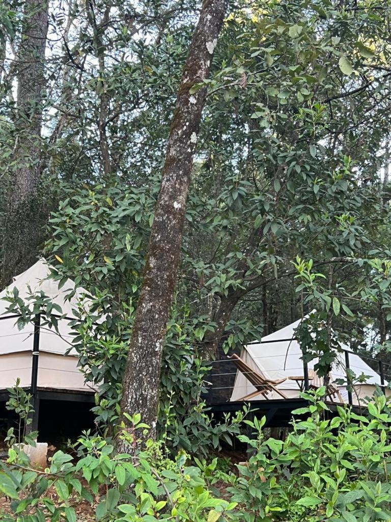 Hotel Oxu Solo Adultos บาเญเดบราโว ภายนอก รูปภาพ